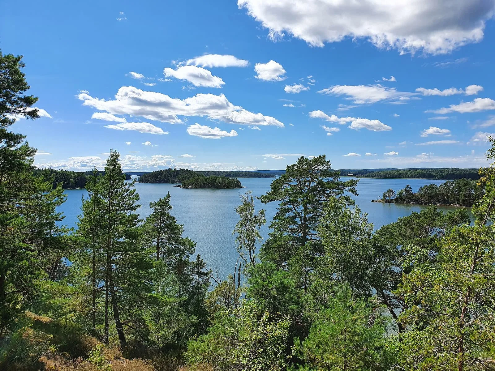 Utsikt över fjärdar och skogklädda öar i Norra Vätterns skärgård, med tallar i förgrunden och sommarmoln.