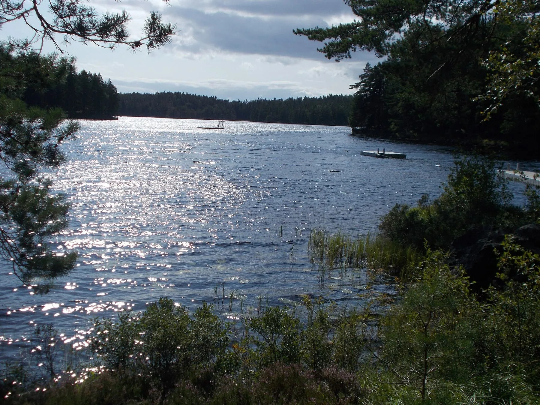 Viksjön med en badplats, stilla vatten och skog runt stranden.
