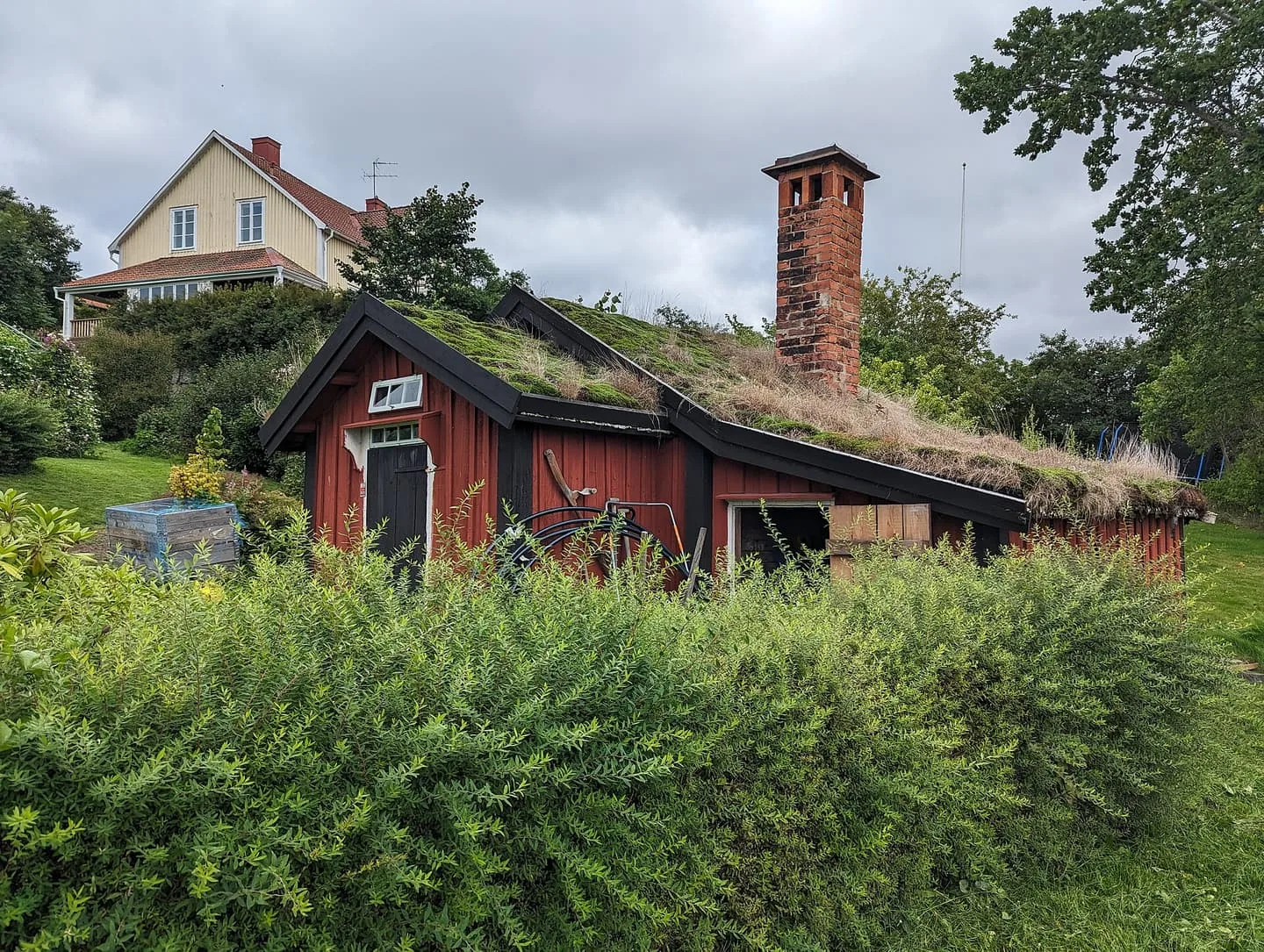 Liten röd timmerstuga med torvtak och hög tegelskorsten, omgiven av grönska, med större hus i bakgrunden.