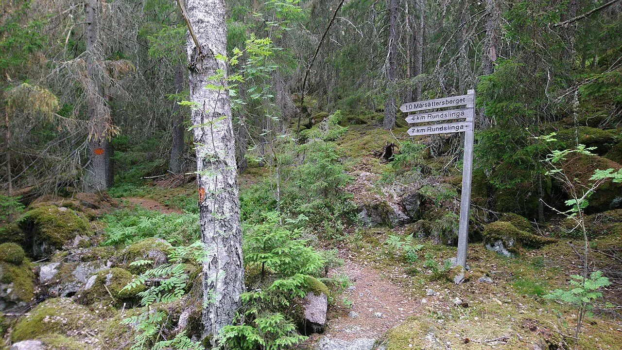 En stig genom mossig barrskog med en vägvisare mot Mårsättersberget och rundslingorna på fyra och sju kilometer.