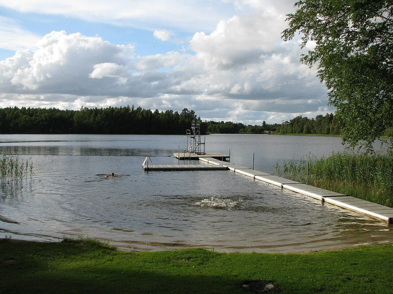 En skogssjö med en lång flytbrygga och ett hopptorn ute i vattnet, gräsmatta och vass i förgrunden och barrskog på andra sidan.